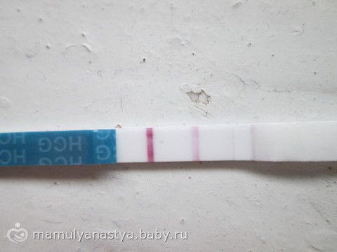 Роды в первую течку Роды в первую течку