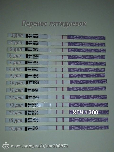 Вопрос: Коричневые выделения, срок беременности Боль в колене у ребенка 3,5 года - Детское здоровье - Форум Дети