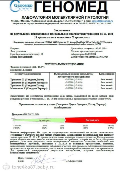 Тест панорама для беременных цена 10