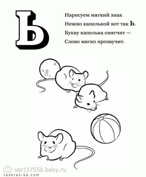 Что лучше ставить на коренные зубы Что лучше ставить на коренные зубы