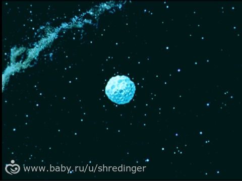 Конкурс лисенок чип Конкурс лисенок чип