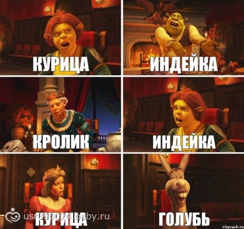 Пусть говорят кефирная диета продолжение истории