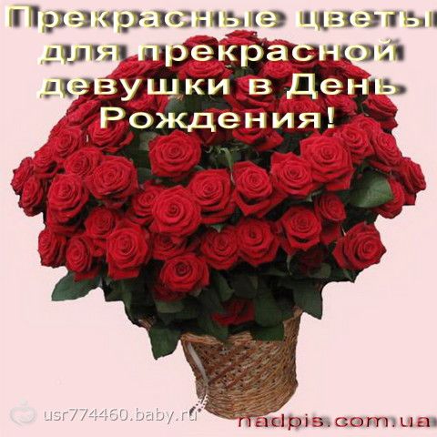 Поздравить с днём рождения красиво девушку Поздравить с днём рождения красиво девушку
