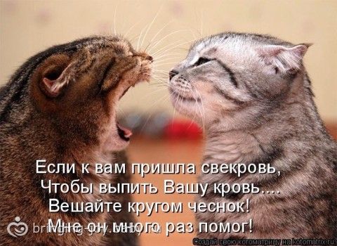 Прикольные сценарии на 50 летие Прикольные сценарии на 50 летие