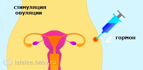 советы девушкам как забеременеть советы девушкам как забеременеть