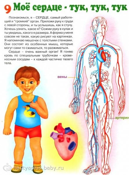 Поздравления с днем рождения гитаристу открытки Поздравления с днем рождения гитаристу открытки