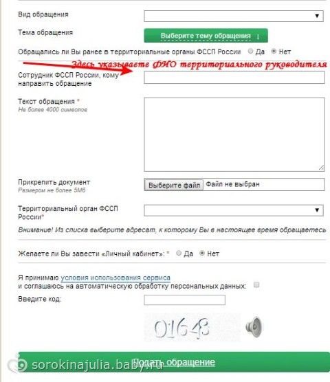 статус обращения на сайте судебных приставов Популярные бренды