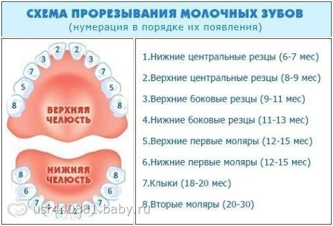 Верхний зуб вылез за десной Верхний зуб вылез за десной