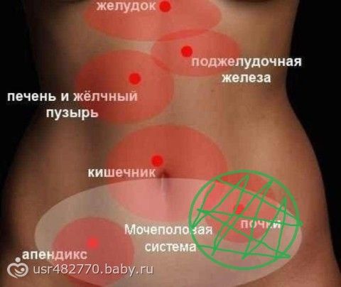 Где находится желудок при беременности