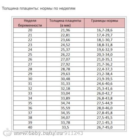 20 недель беременности 1 степень