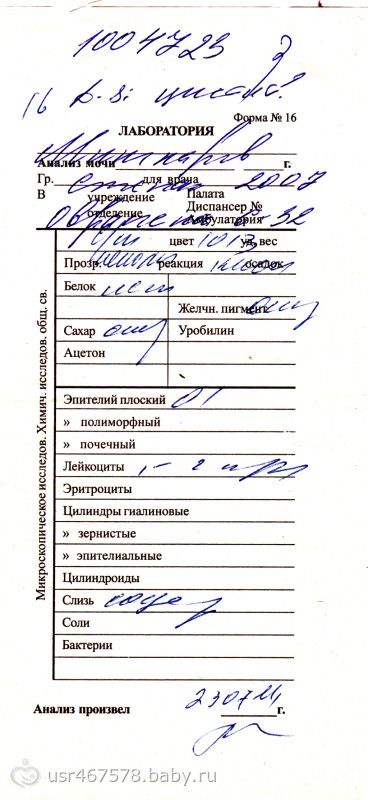 Результаты анализа мочи расшифровка у беременных 5