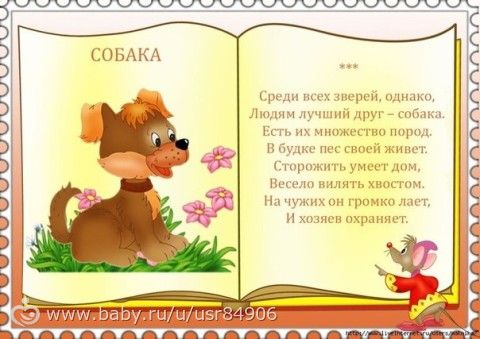 Детский стих про зверей Детский стих про зверей