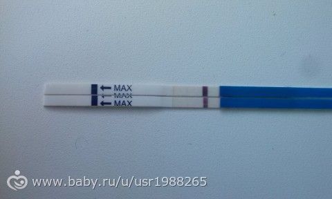 Тест на беременности lady test