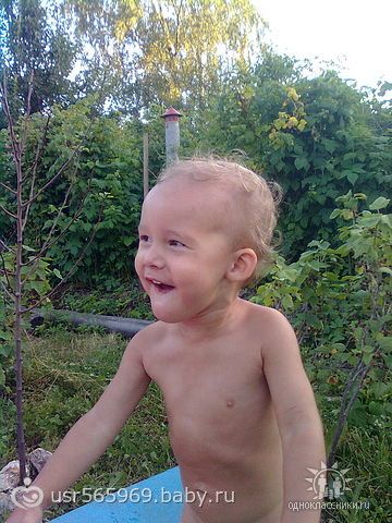 Маска для волос с мед оливковое масло