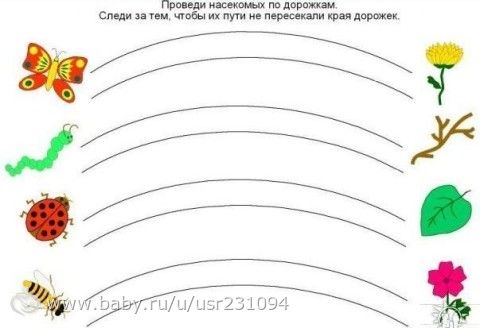 Развивашки для детей 2-3 лет