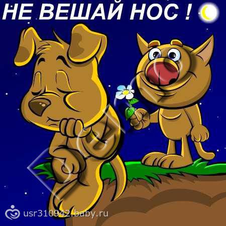 Открытки не вешай нос все будет хорошо Открытки не вешай нос все будет хорошо