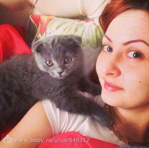 Доброе утро мой желанный мужчина в прозе Доброе утро мой желанный мужчина в прозе
