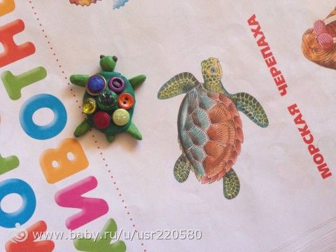 Марафон &quot;Морские обитатели&quot; - день 5 (заключительный)