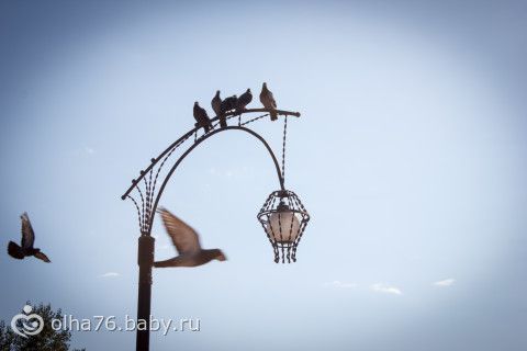 Наш отпуск. часть вторая.