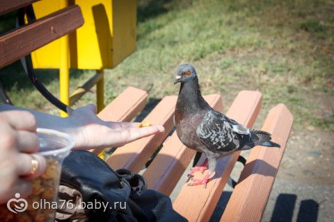 Наш отпуск. часть вторая.