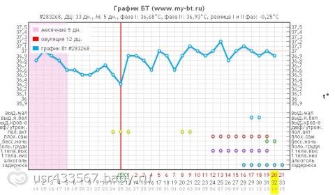 Беременный график бт фото