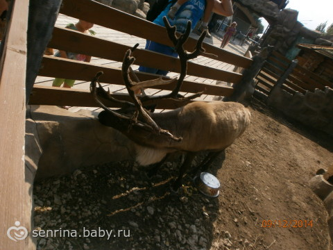 Наш первый маленький семейный отпуск)))