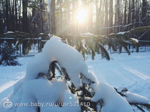 Наши новости и фотки