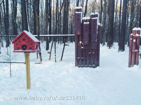 Наши новости и фотки