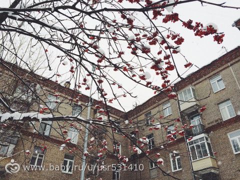 Наши новости и фотки