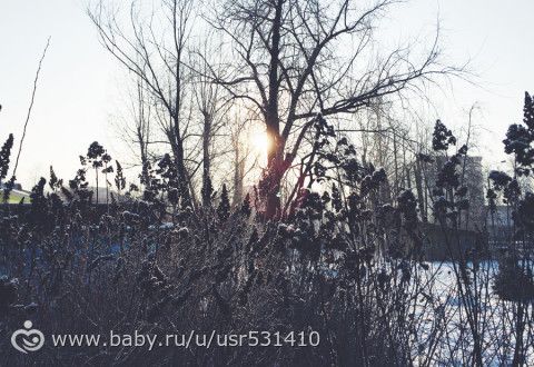 Наши новости и фотки