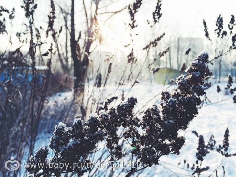 Наши новости и фотки