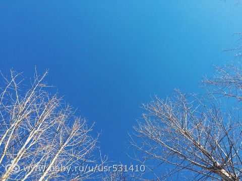 Наши новости и фотки