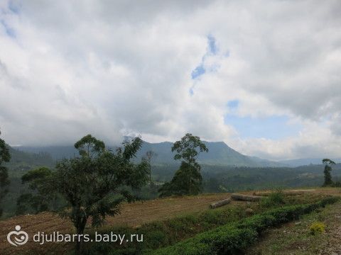 Из Бентоты в Нурелию, продолжение: водопады, Нурелия и фабрика чая. Шри-Ланка /2014/