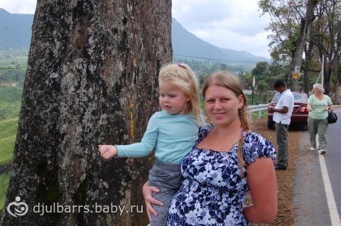 Из Бентоты в Нурелию, продолжение: водопады, Нурелия и фабрика чая. Шри-Ланка /2014/