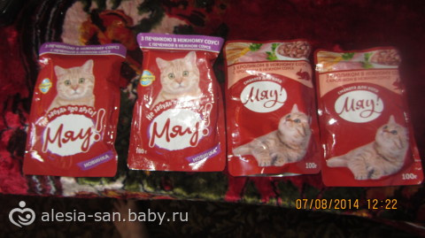 Отчет по акции к 1 сентября)))
