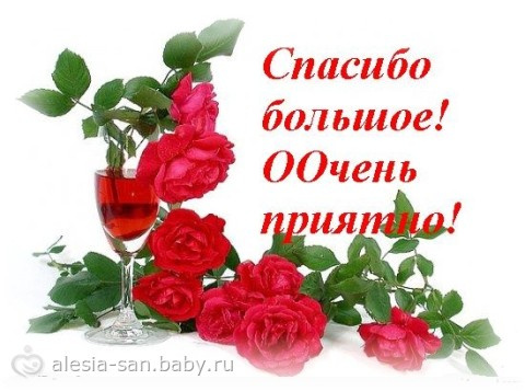 Отчет по акции к 1 сентября)))