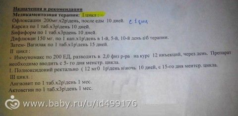 Хр. эндометрит аутоиммунного характера