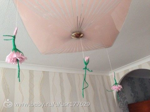 и тут Остапа понесло ))
