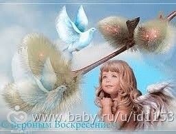 Всех католиков с Пасхой, а православных с вербным воскресением!