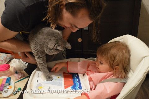 Творим с детьми каждый день. Февраль. Дни 6-10. Ноты, буква Ф, лодка, ягоды, доктор.