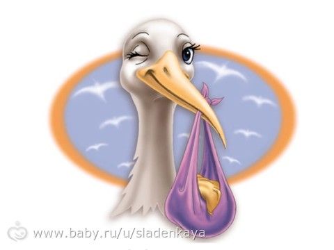 НУ И ЕЩЕ 1 ЗАПИСЬ В ЖУРНАЛЕ. О МОЕМ ОТСУТСТВИИ ЗА 2 НЕДЕЛИ.