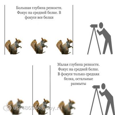Учимся фотографировать. Урок 2