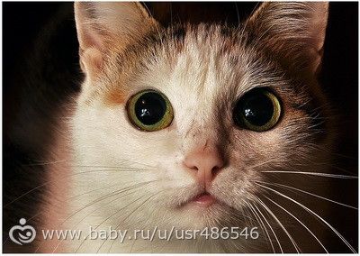 Учимся фотографировать. Урок 10