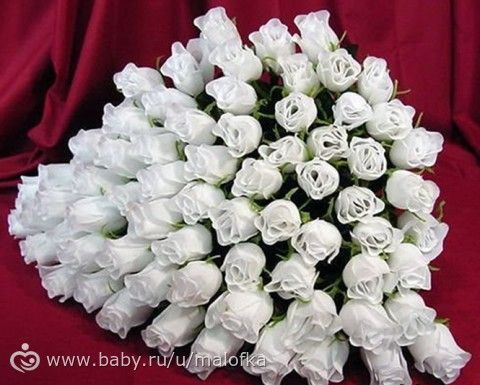 Победители Зимней Школы преображения