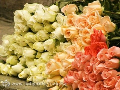 Список участников Весенней Школы преображения