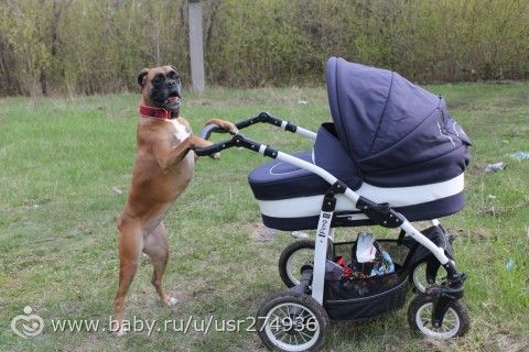Наша нянюшка)))