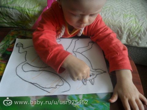 Марафон Дикие животные. День первый. Лиса.