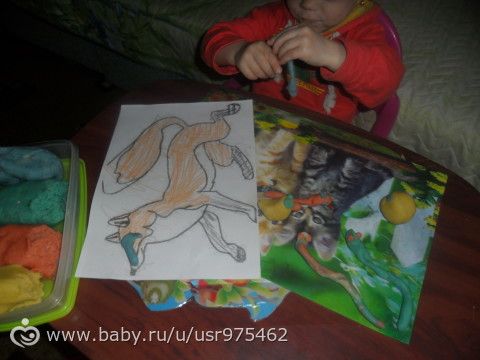 Марафон Дикие животные. День первый. Лиса.