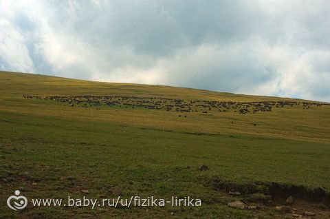 Хочется лета... (длиннопост с фотографиями)