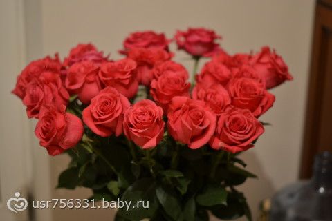 Сонник Цветок приснился, к чему Сонник Цветок приснился, к чему
